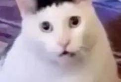 湖人狂喜！准备交易维金斯！这可是NBA縂(zǒng)冠军前鋒(fēng)