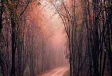 布伦森28分德罗赞34分 尼克斯击败国王3连胜