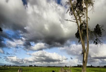 NBA奢侈税球(qiú)隊(duì)排行(xíng)出(chū)炉！雷霆成最(zuì)大赢家，勇(yǒng)士6567萬(wàn)再壓(yā)骑士