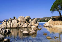 尼克斯(sī)逆转马刺夺NBA杯总冠军 布伦森(sēn)当选MVP